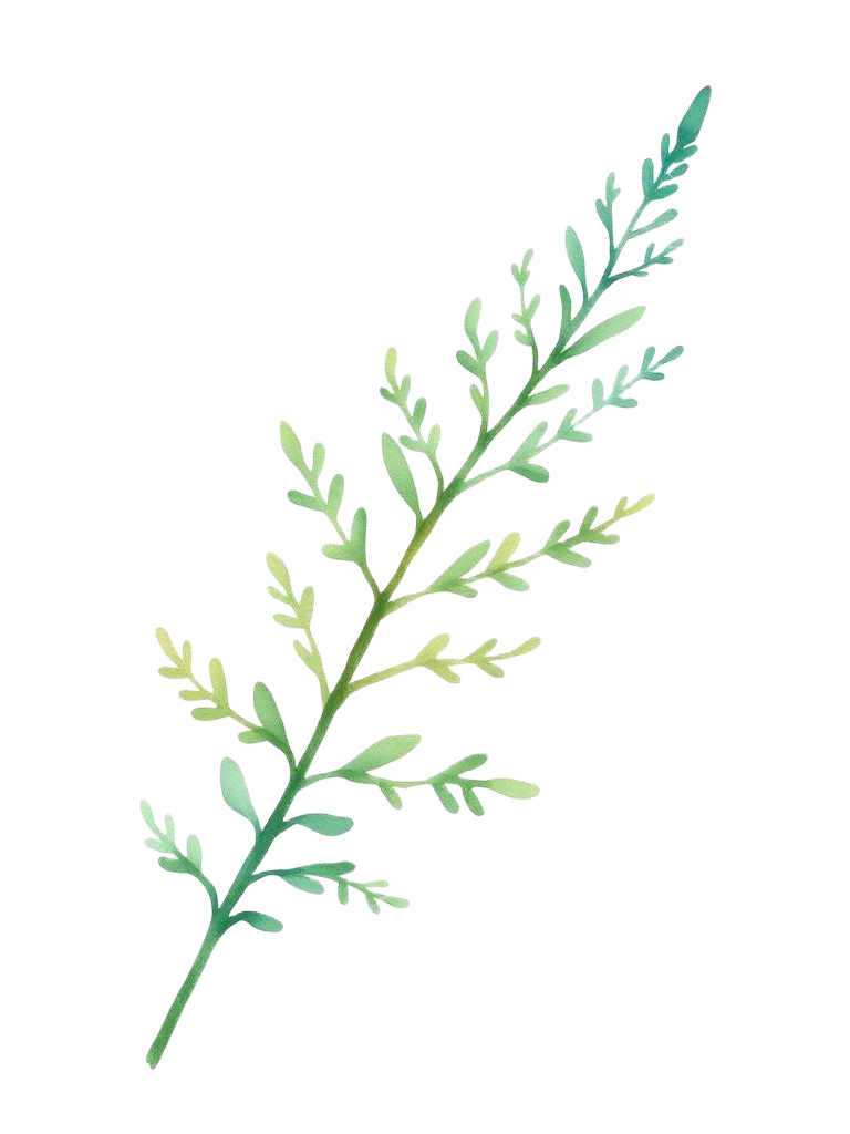 Kelpful Coalition mark