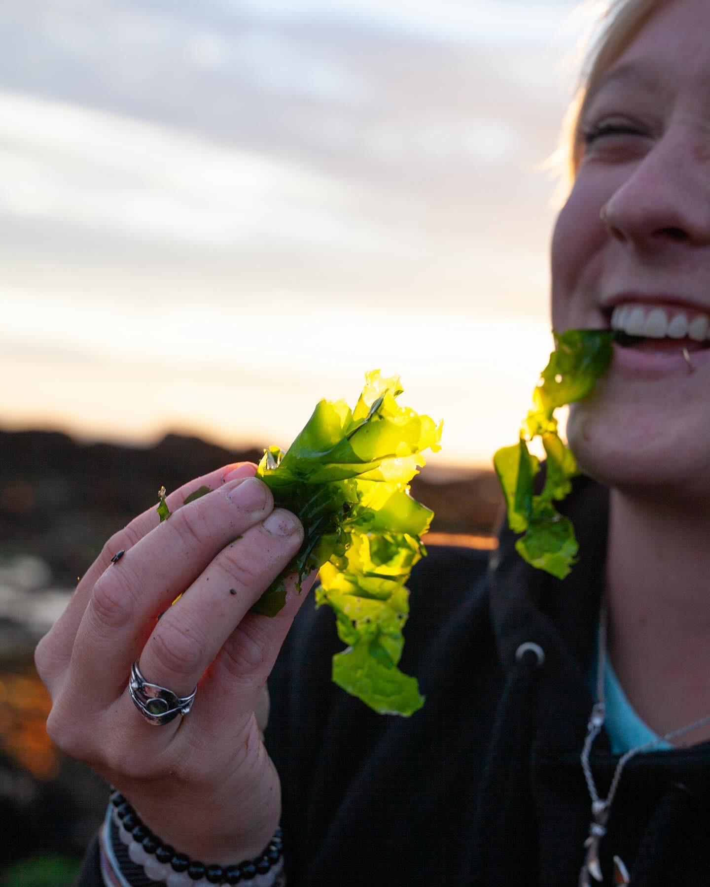 Jules tasting fresh sea lettuce at the shore