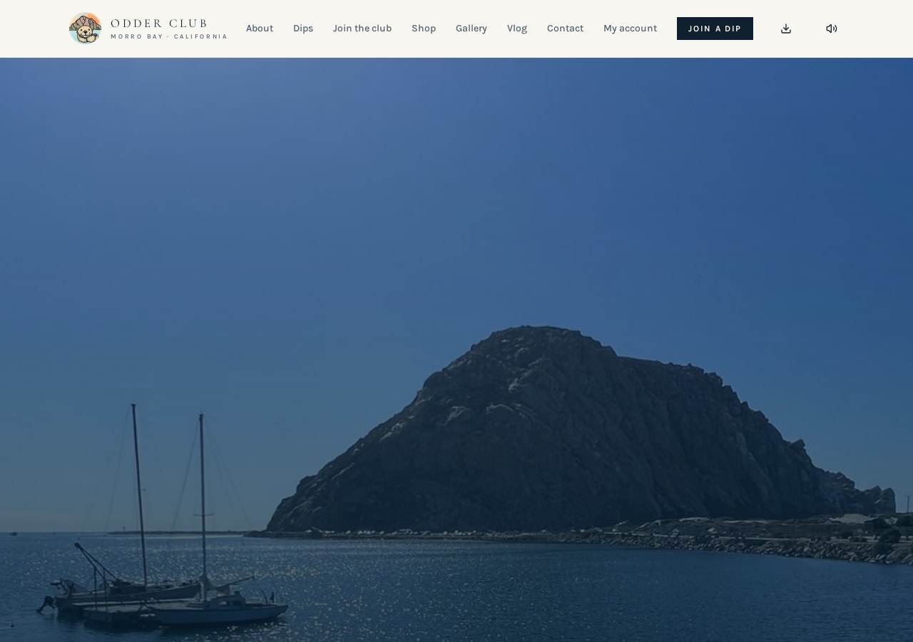 Morro Bay Odder Club home screen with Morro Rock
