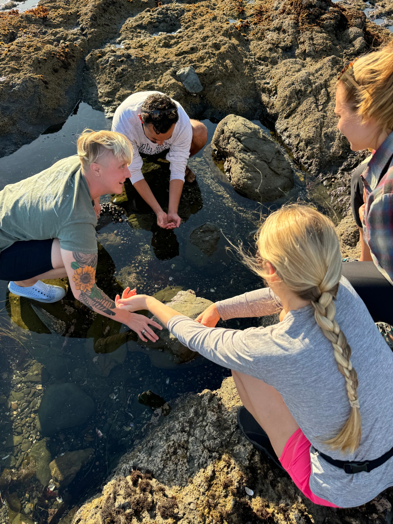 Teaching a small group at a tidepool