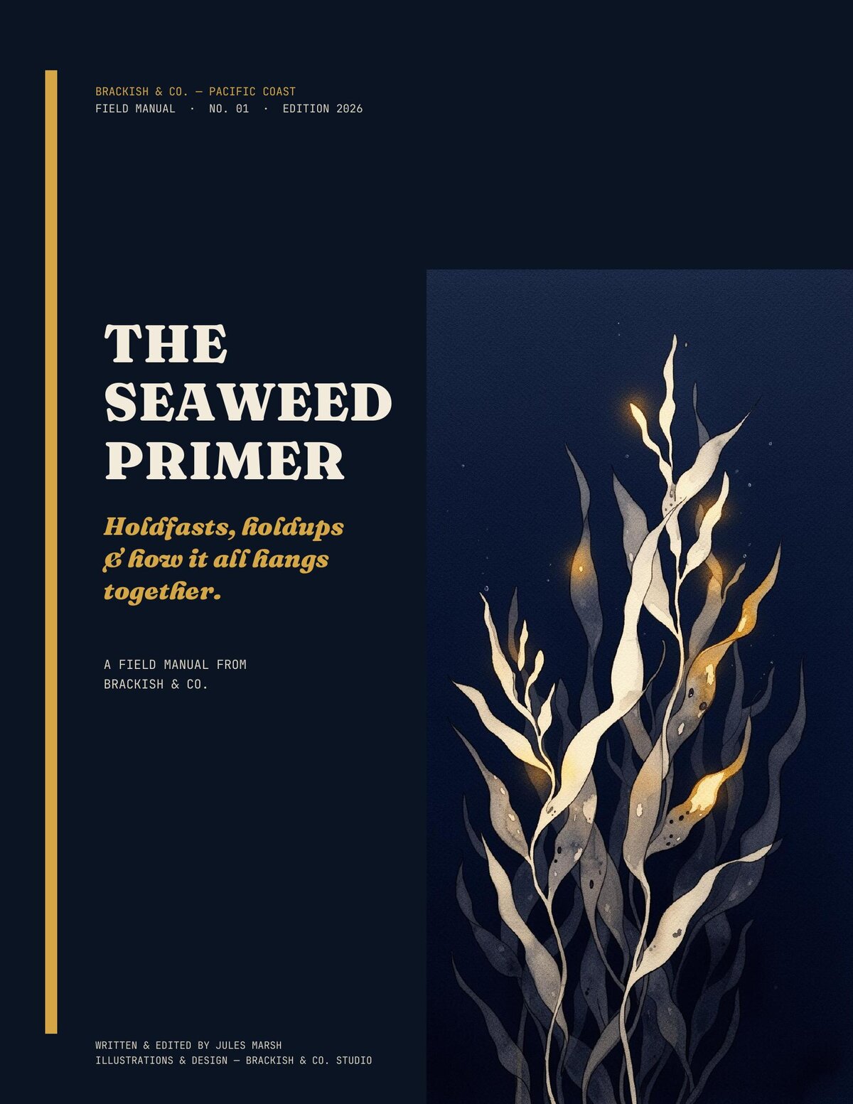 Field Manual No. 01 — The Seaweed Industry Primer